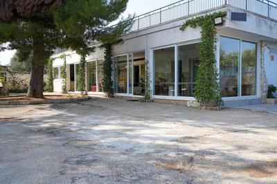 La Corte di Greta Nature&Peace