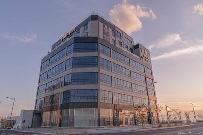 Brown Dot Siheung Geobuksum