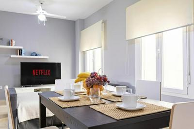-MalagaSunApts- City Centre SharedTerrace