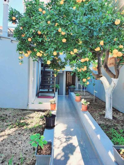 Evia's Apartment - New Apartment In Town!