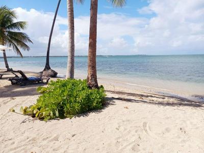 Beachfront Luxury Resort Condo near Hyatt & PGA Golf