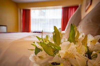 Hotel Alsacia Arequipa