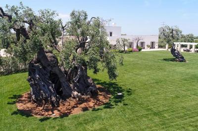 Masseria Il Frantoio by Raro Villas