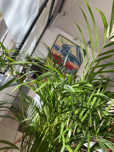 Vieille tour Hotel centre Rouen