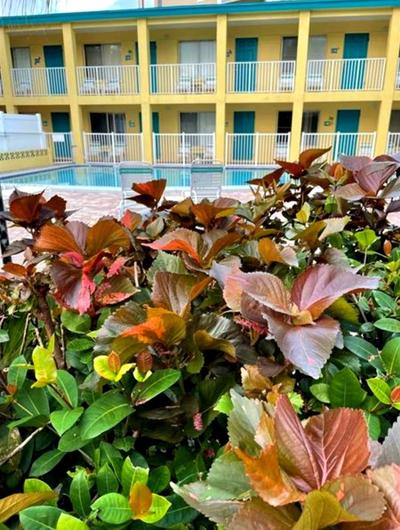 Searenity, Waterside studio in the heart of Treasure Island, walk to beach