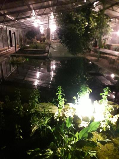 Ezen Giardino Botanico in Acquaponica