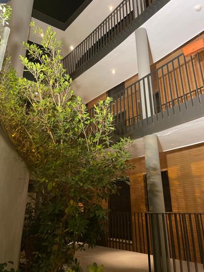 El Callejón del Molino