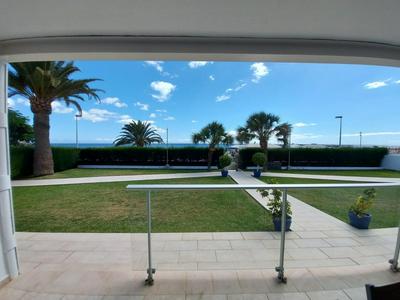 Apartamentos Acali