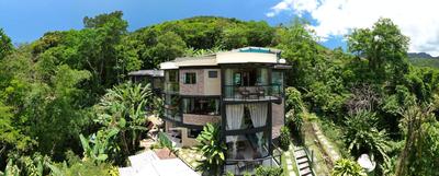 ATLANTIC FOREST ROOM