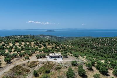 Alterra Vita Eco Villas