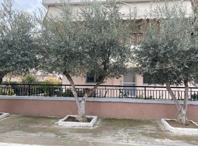 Olive Inn City