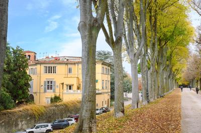 Palazzo Froussard B&B and Living