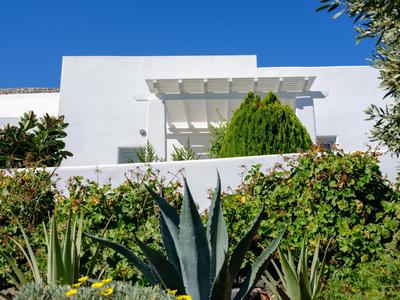 Andromaches - by Senses Collection