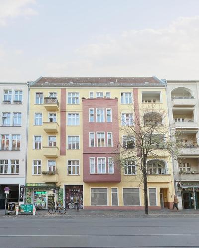 Homaris Boxi Studios