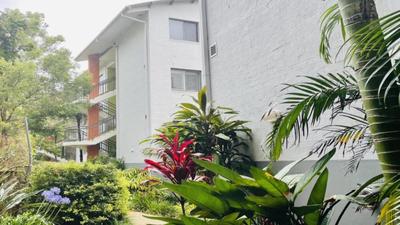 Unit 237 Flynns Beach Resort