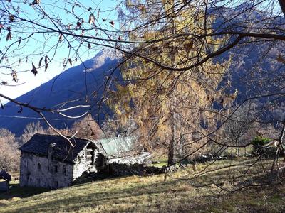 Casa All'Alpe