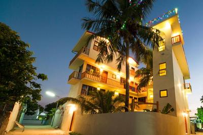 Tropic Tree Maldives main