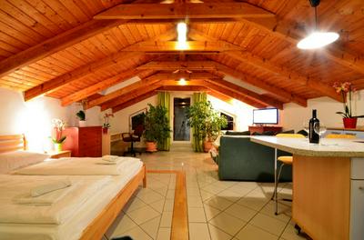 AJO Apartments - Alte Donau Lake View Penthouse - Self-Check-in