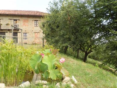 C dra Topia the Grape Pergola House near Alba Charming house - Italy