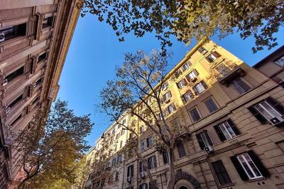 Dandolo In Trastevere by Halldis
