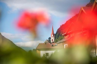 Alpenblick Nr 8