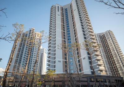 Y COLLECTION by UH FLAT OSIRIA