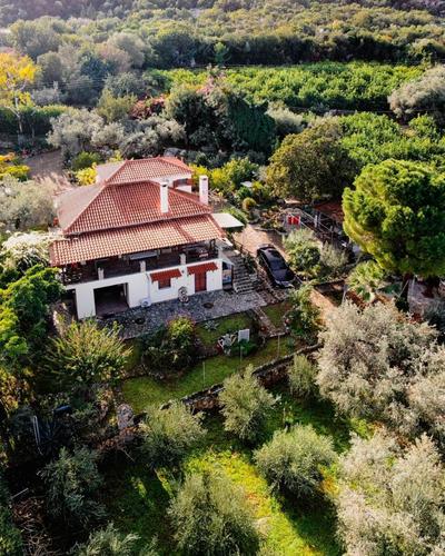 Villa Eirini with sea view
