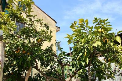 Kubri Home ! A Confortable space for Mind & Soul.