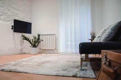 Apartamento Zurriola by SanSe Holidays