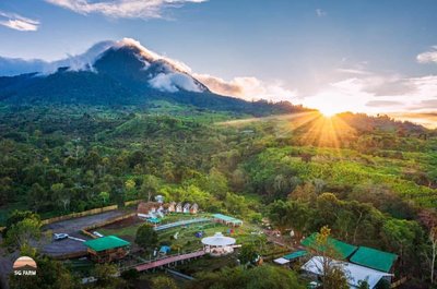 Strawberry Guyabano Farm