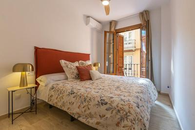 Bright apartment with patio and balconies in the center