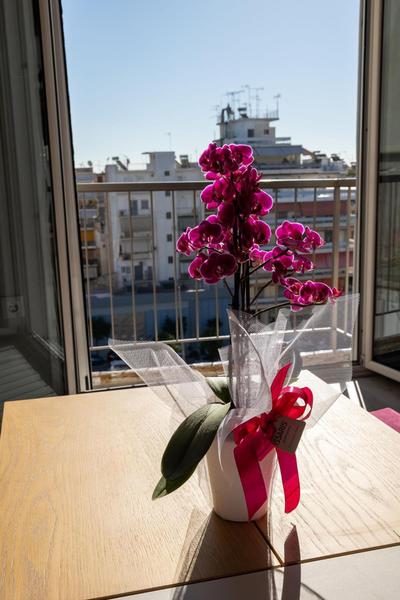 "Elegance" Central Luxury Apartment Piraeus