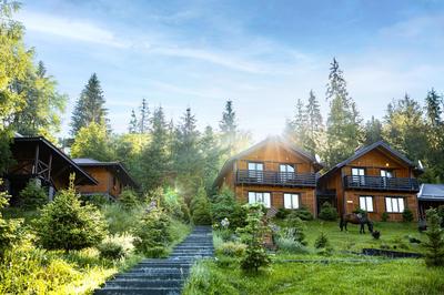 Медовий двір