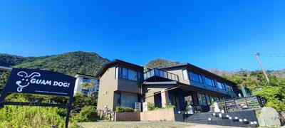 Hakone Gora Guam Dog