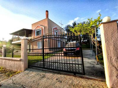 Alex House