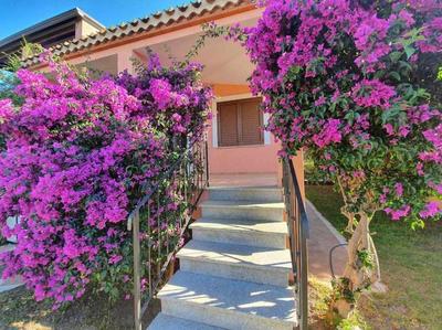Casa Vacanze l'Olivastro