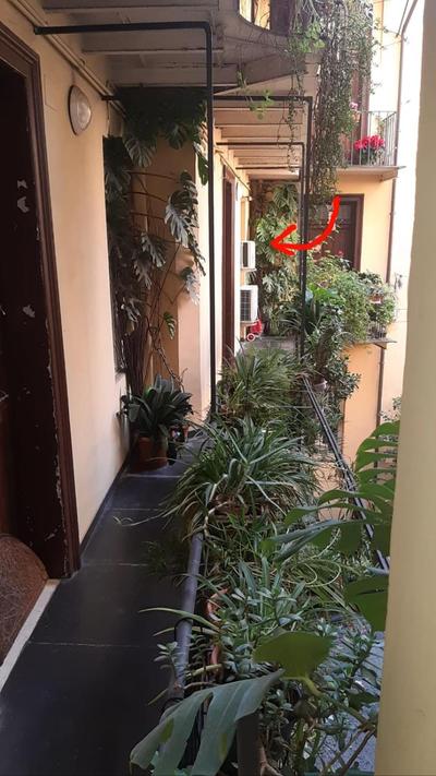 Charme de Rome Vatican Apartment