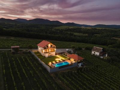 Vineyard Vila 01 by GREEN Croatia