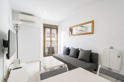 Flamenco Style Apartment PALACIO REAL, La Latina