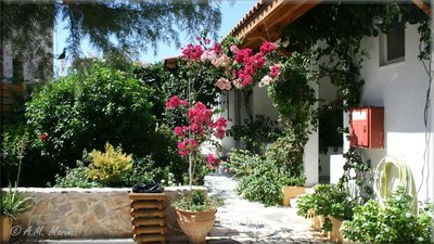 Ampelos apartment and studios