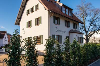 Goldammer Aschaffenburg