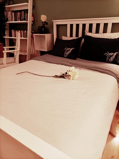 Bright & Calm Grand Studio -La Villette Paris- Near Metro