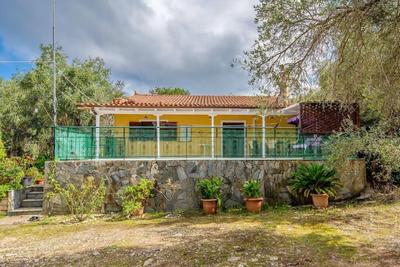 Olive Tree Villa