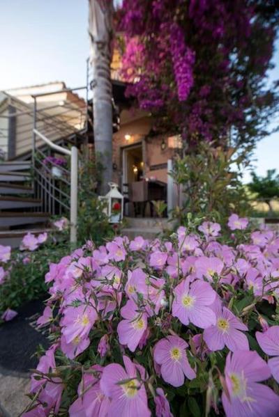 bougainvillea house 1