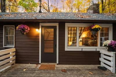 Cozy Bear-Themed Mountain Cabin, Relaxing Hot Tub