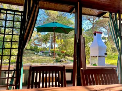 All'ombra dei pini - Casa Vacanze Pet Friendly