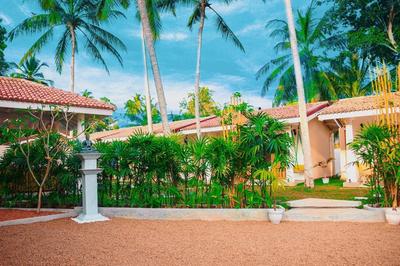 Tree of Life Resort