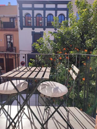 Loft House Triana