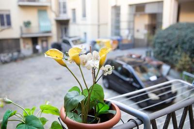 Appartamenti Mazzini