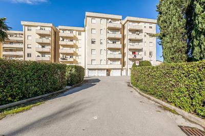GuestHost - Cozy Apartment near the Hospital with 2 Balconies!